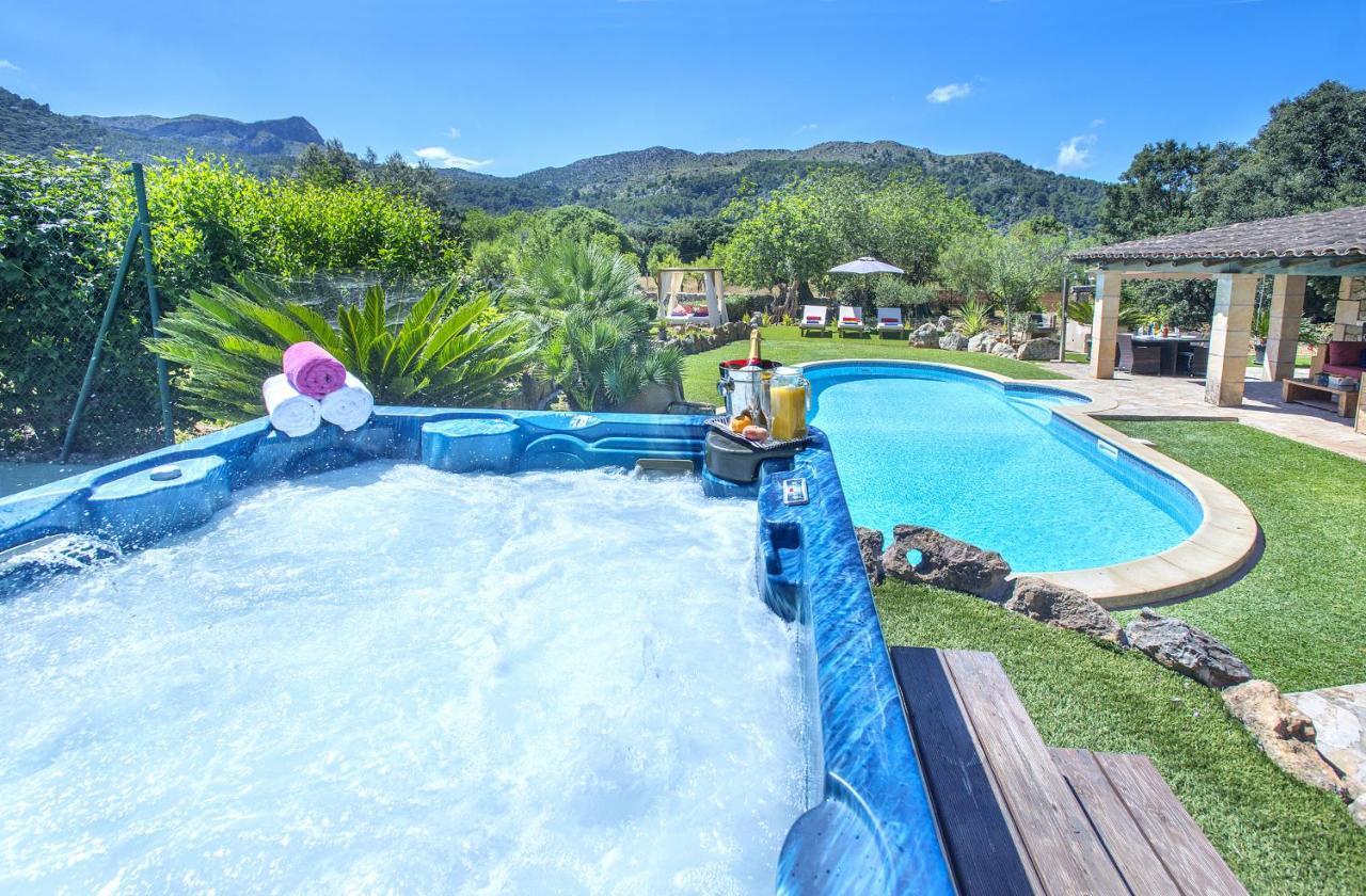 Owl Demana - Retreat In The Midst Of Nature *