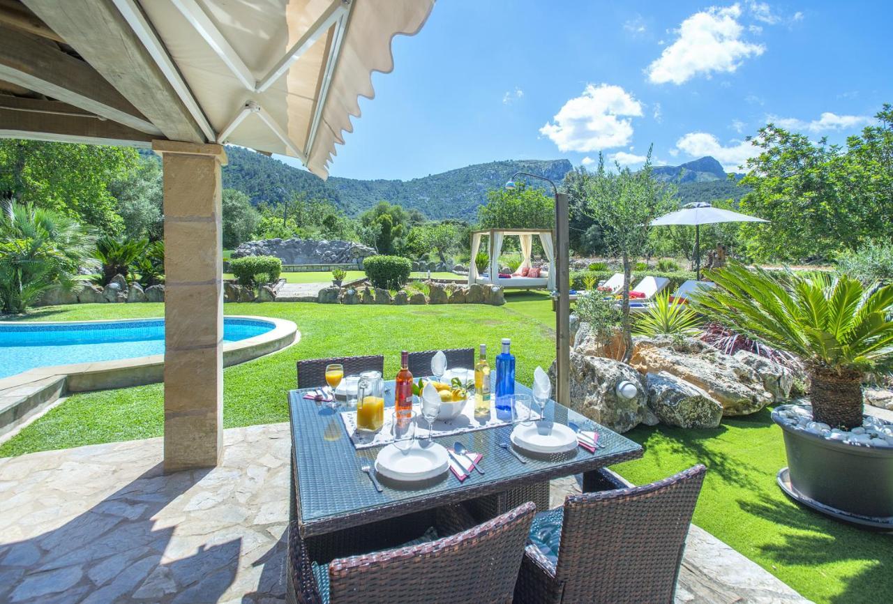 Owl Demana - Retreat In The Midst Of Nature * Pollensa