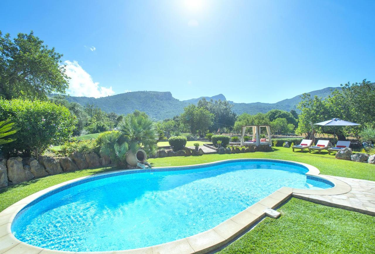 Owl Demana - Retreat In The Midst Of Nature Pollensa