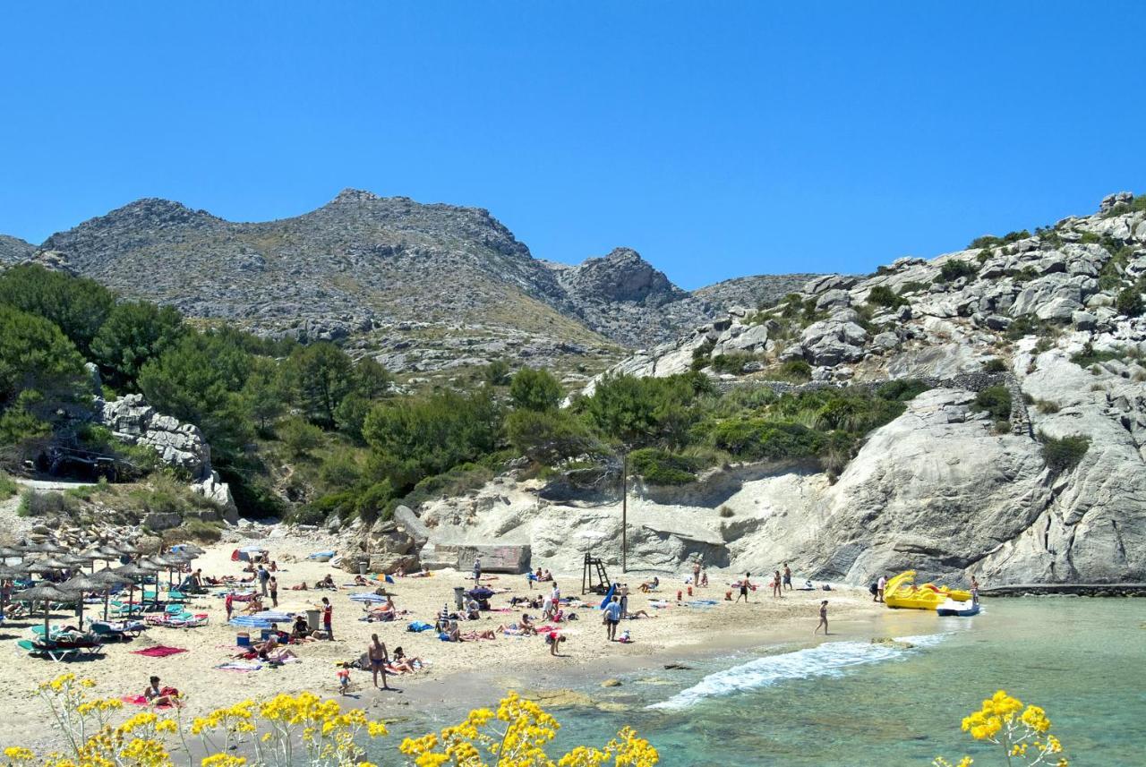 Owl Demana - Retreat In The Midst Of Nature * Pollensa