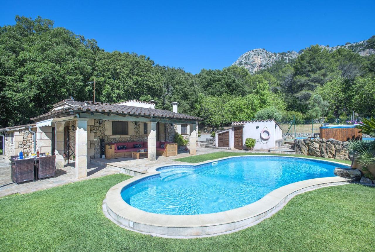 Owl Demana - Retreat In The Midst Of Nature Pollensa