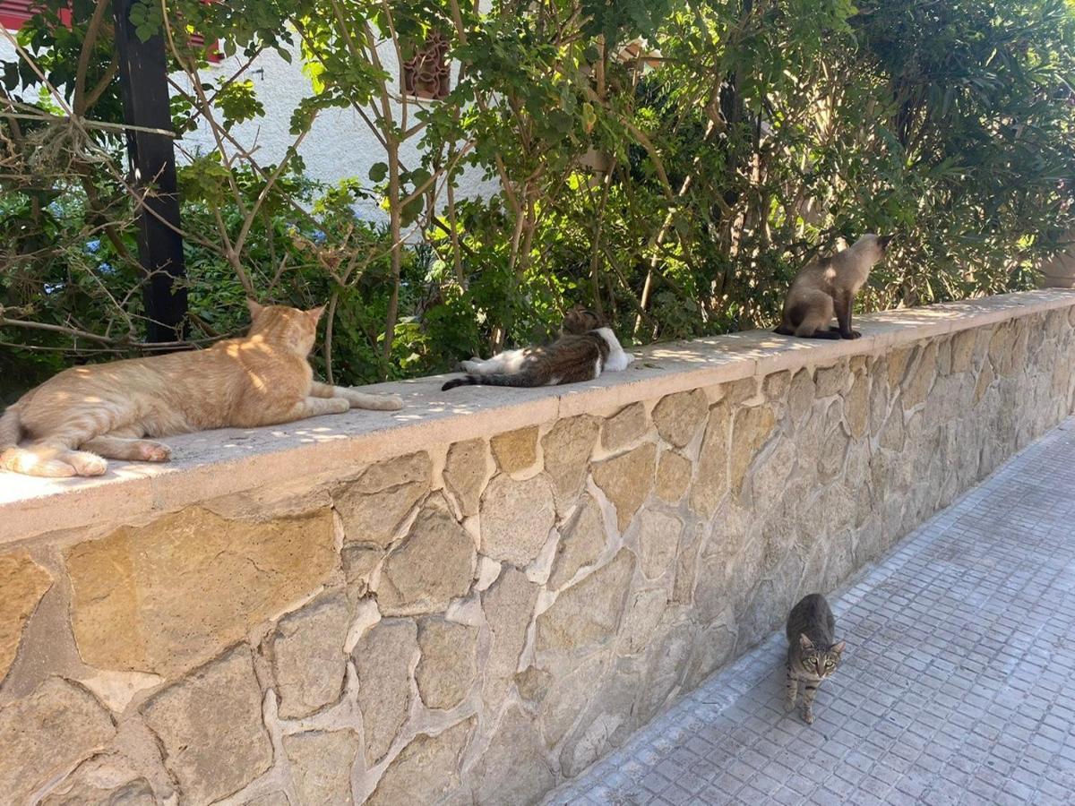 Casa Lisboa Сasa de vacaciones
