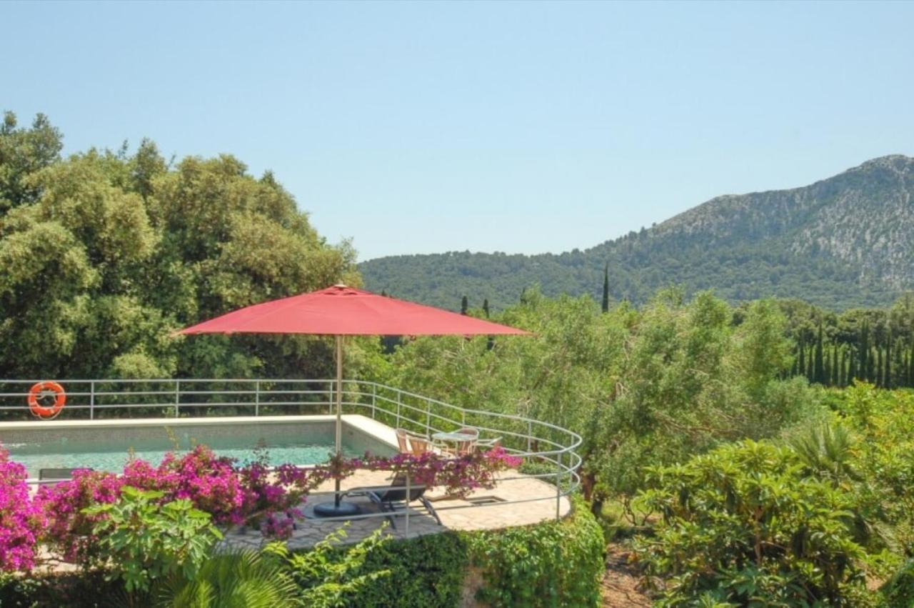 Borrassa * Pollensa