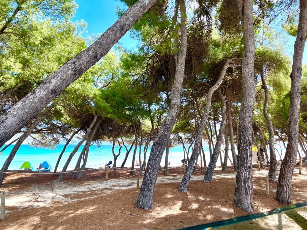 Luxury Con Piscina,primera Línea De Playa