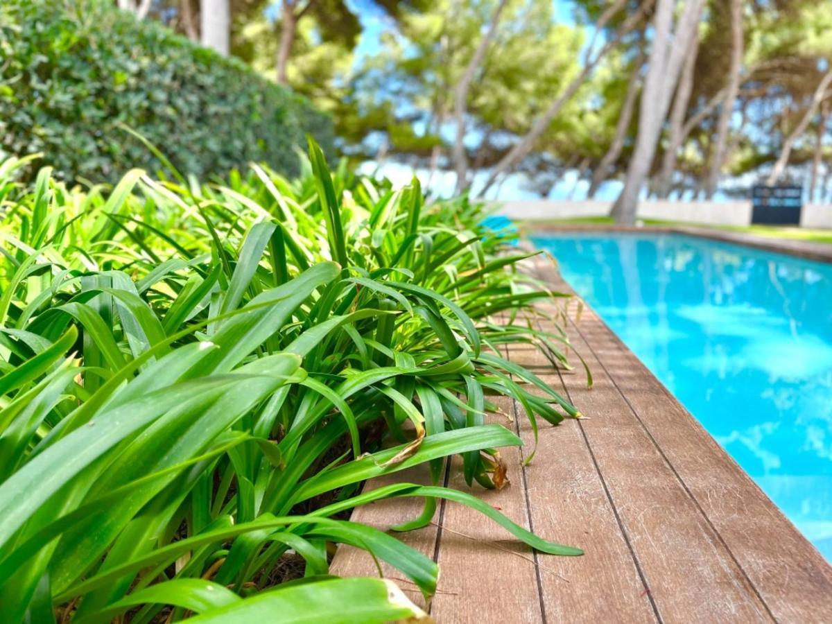 Luxury Con Piscina,primera Línea De Playa Apartamento Puerto de Alcúdia