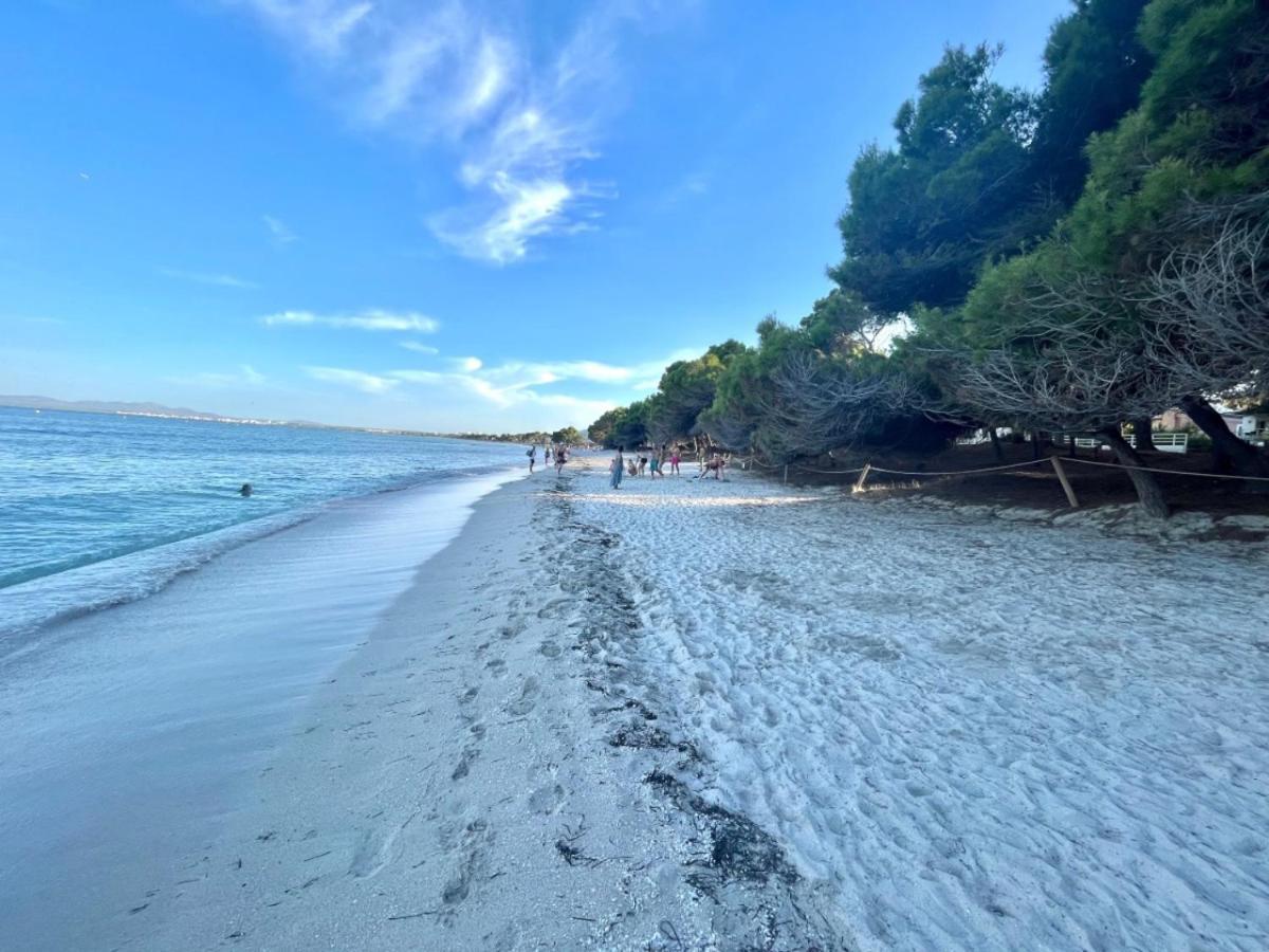 Apartamento Luxury Con Piscina,primera Línea De Playa *