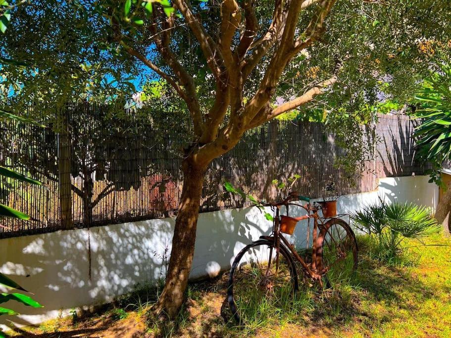 Ca Na Fulla. Agradable Casa Con Jardín Y Piscina. Сasa de vacaciones