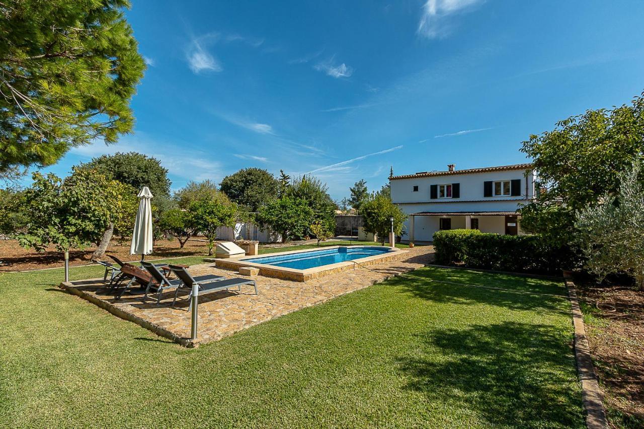 Palmeras 4 Personas Cerca Del Pueblo De Villa Pollensa