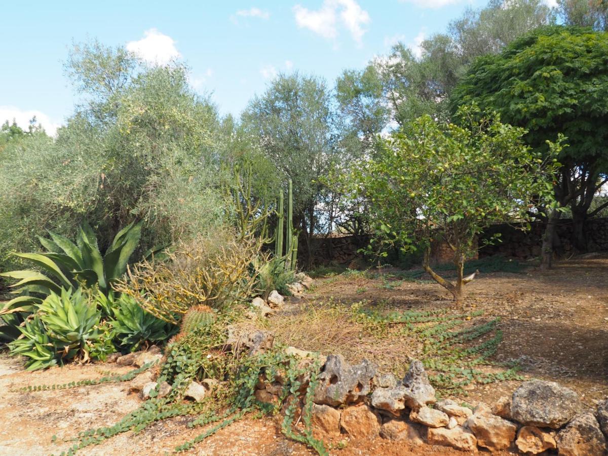 Sa Cabanya Holiday home Llubi