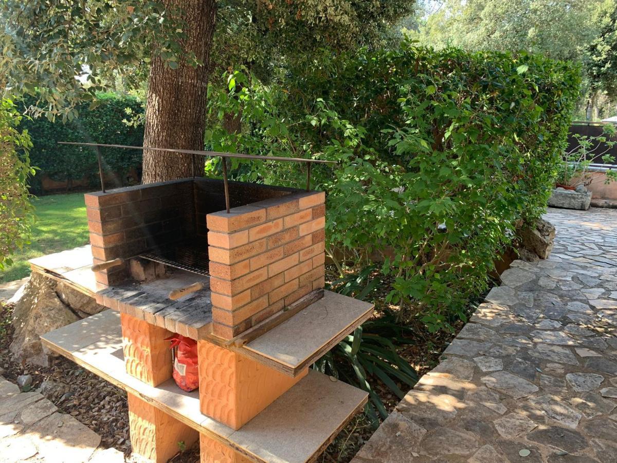 Nispero Sa Pobla