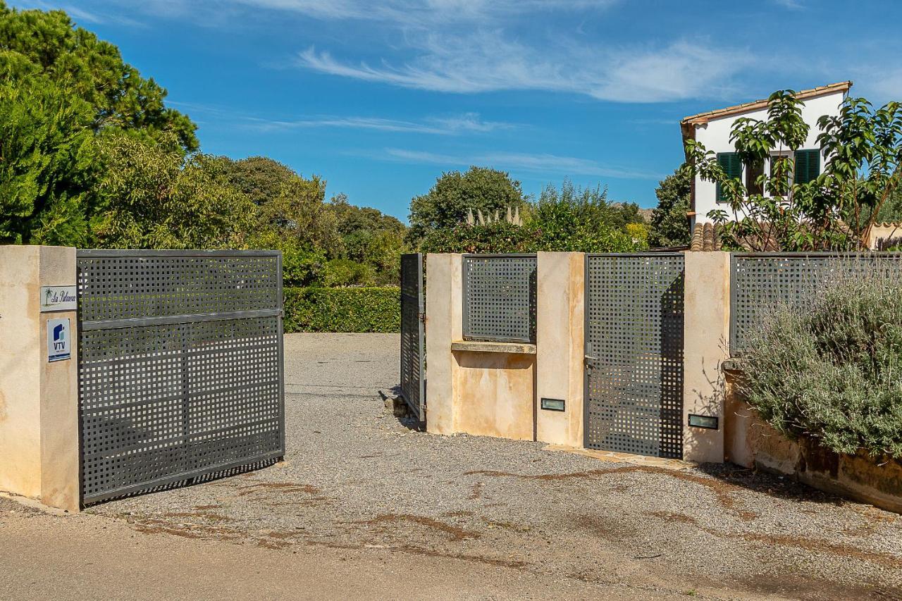 Palmeras 4 Personas Cerca Del Pueblo De Villa Pollensa