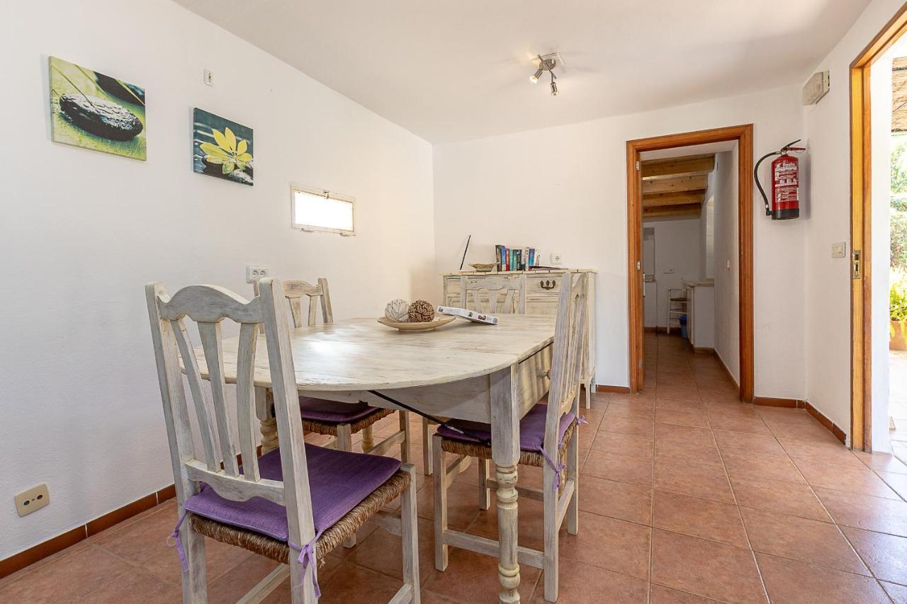 Palmeras 4 Personas Cerca Del Pueblo De Villa Pollensa