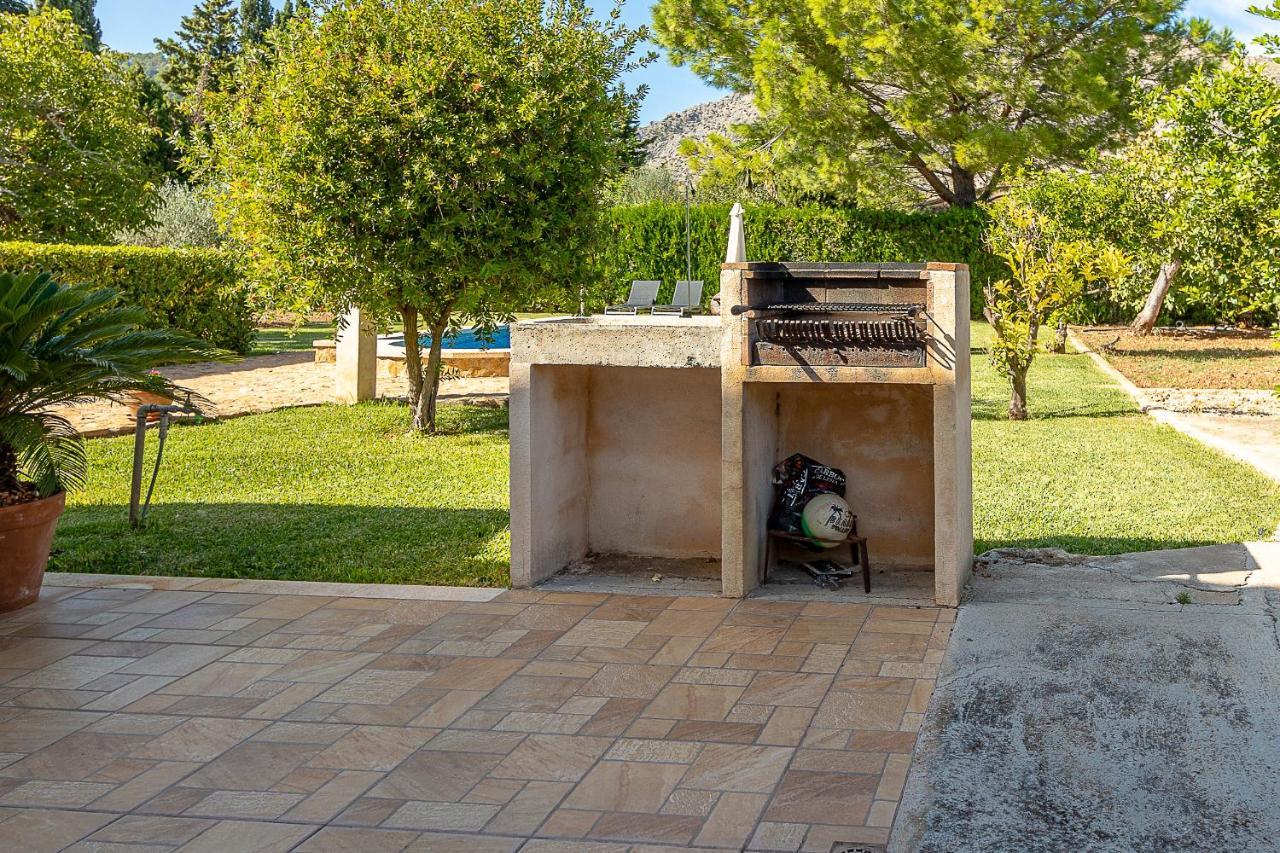 Palmeras 4 Personas Cerca Del Pueblo De Villa Pollensa