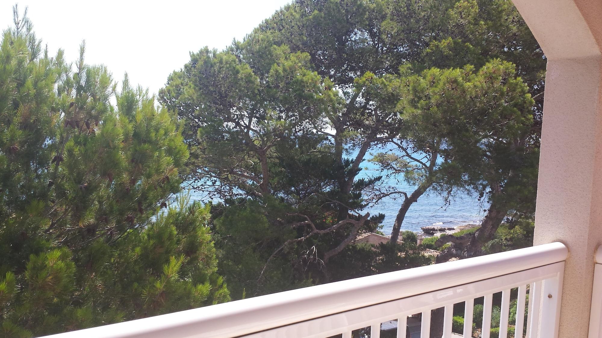 Canyamel Classic, Solo Adultos Canyamel (Mallorca)
