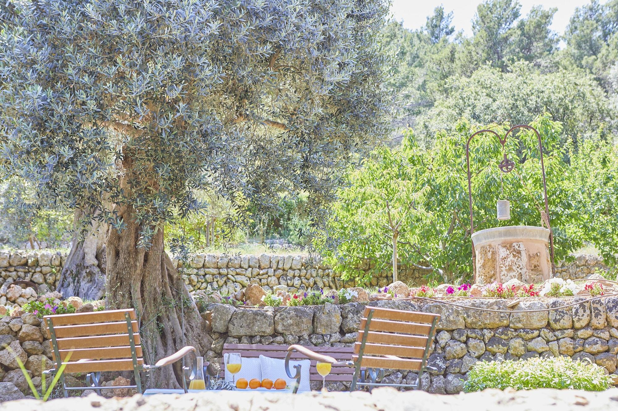 Hotel Rural S'olivaret & Alaro