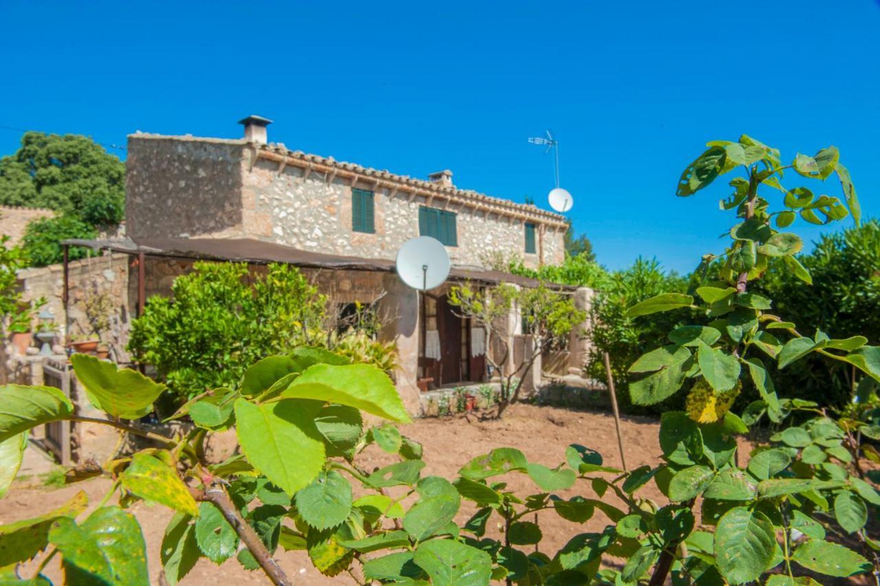Villa Son Matginet 18