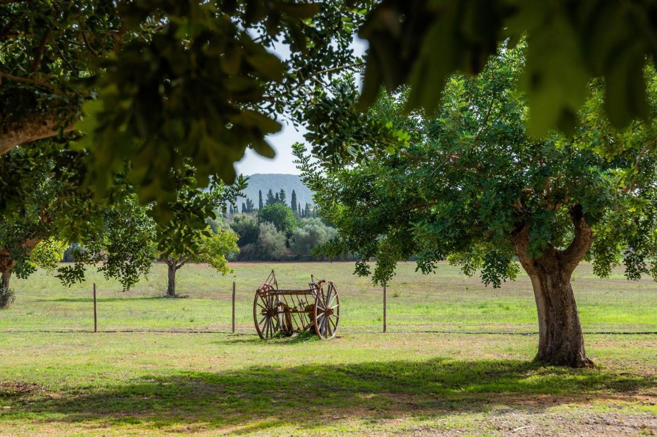 S'hort De N'andreu Villa