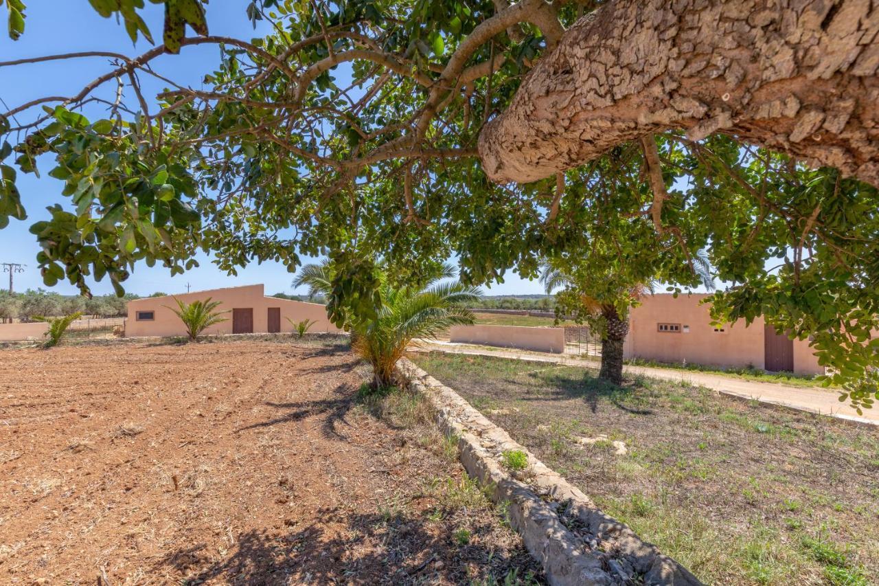 Salom Verd Holiday home Llombarts