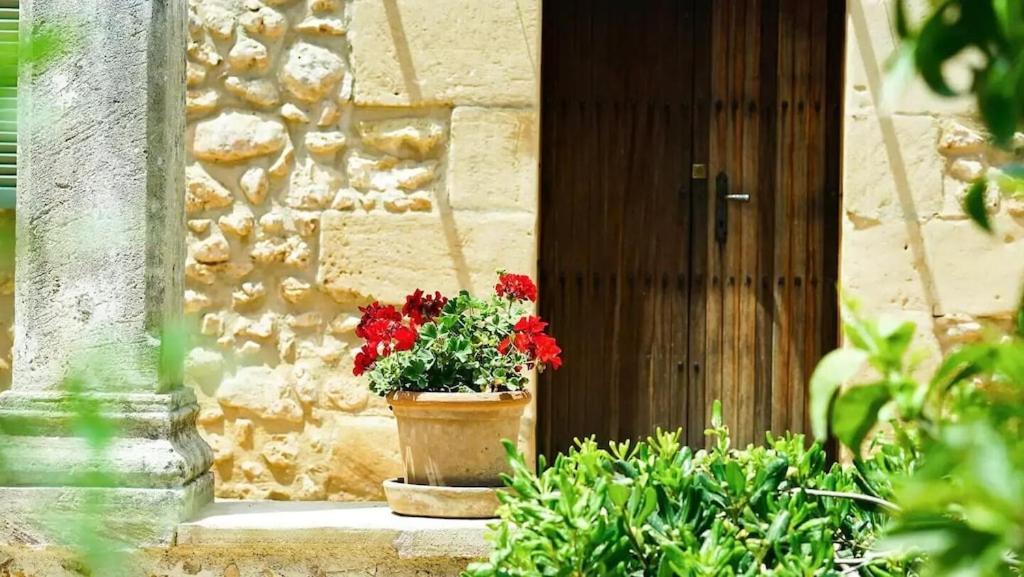 Lovely Mallorquin In By Renthousing