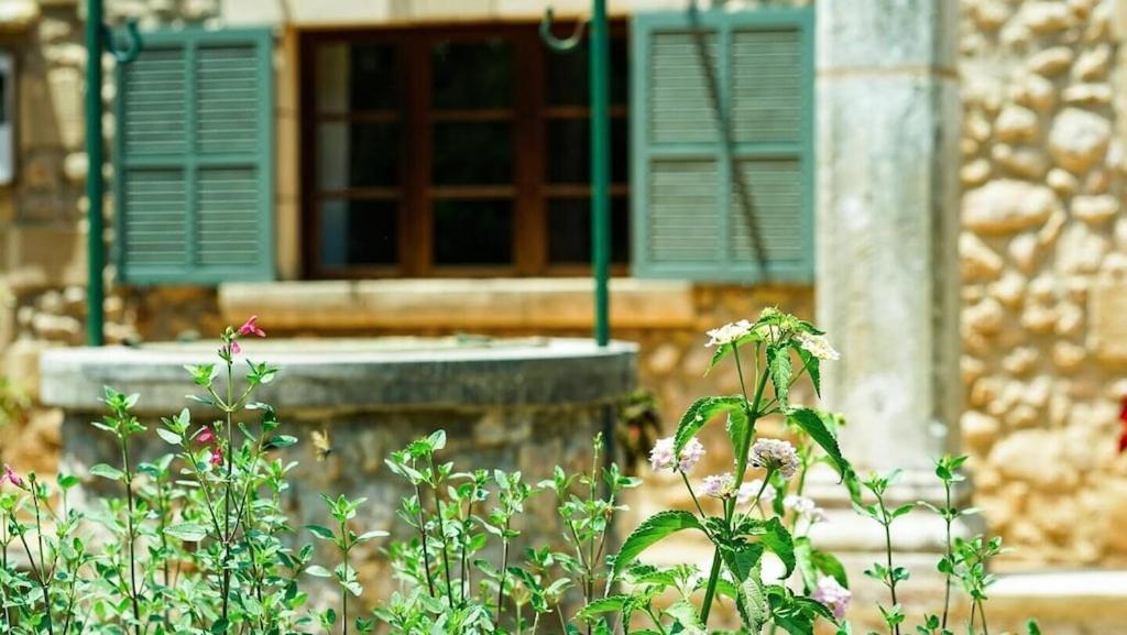 Lovely Mallorquin In By Renthousing Villa *