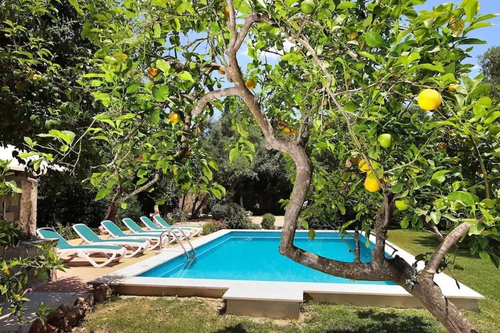 Lovely Mallorquin In By Renthousing Villa