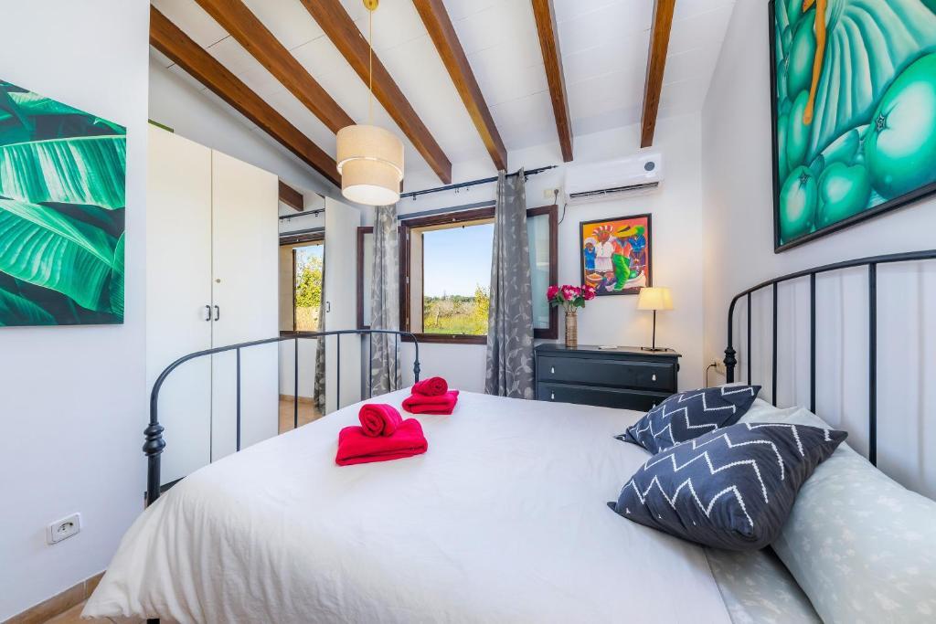 Pep Villa Sineu (Mallorca)