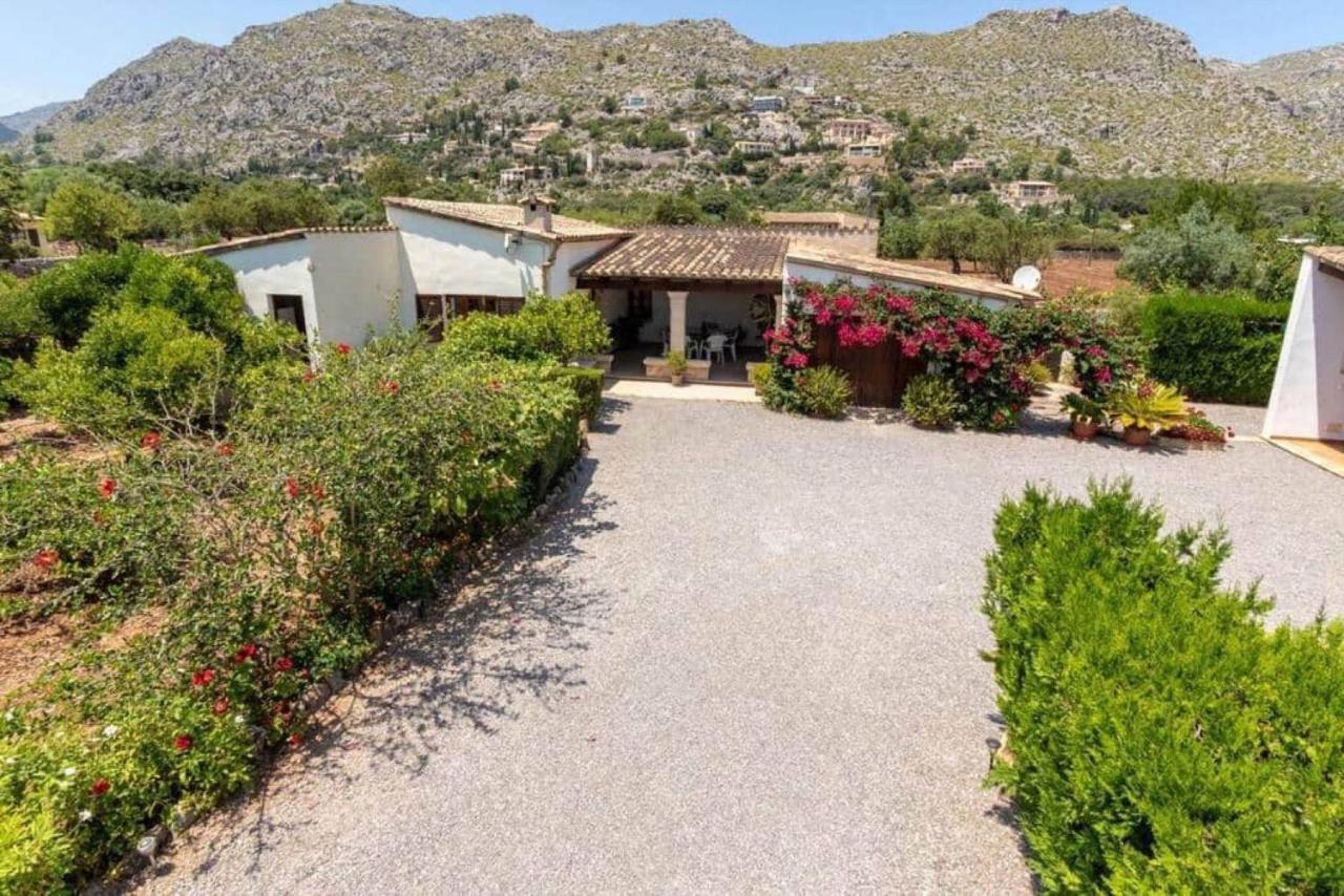 Rosa Villa Pollensa