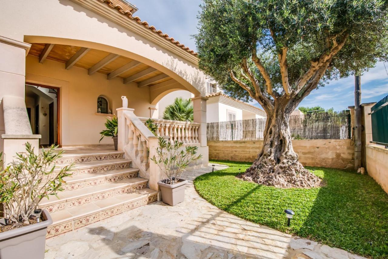 Ideal Mallorca - Didi