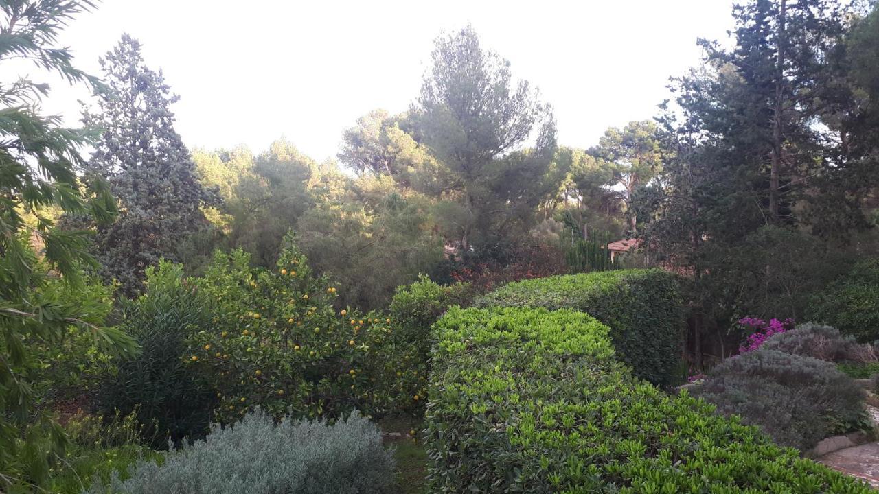 Casa De Vistas Villa