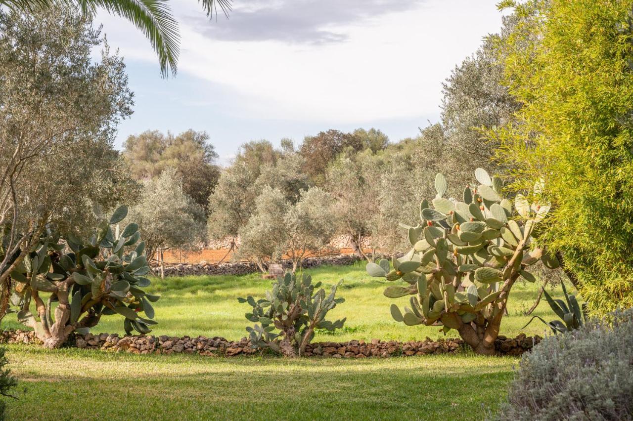 Casa Cascada Holiday home *