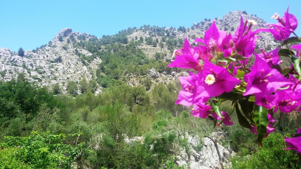 Agroturismo Balitx D'avall