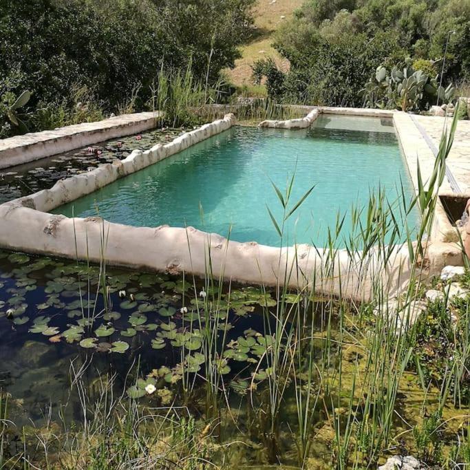 Сasa de vacaciones Son Vell. Mallorca. Casa Amb Piscina Ecologica.