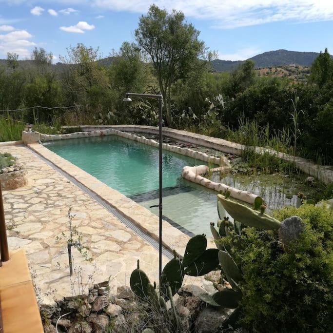 Son Vell. Mallorca. Casa Amb Piscina Ecologica. *