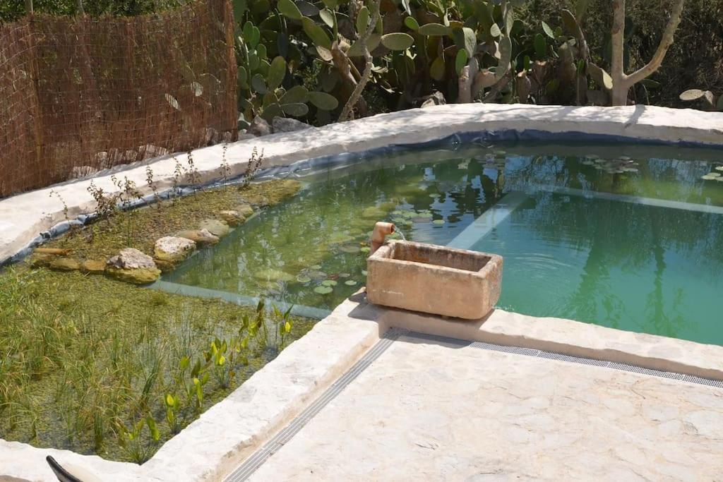 Сasa de vacaciones Son Vell. Mallorca. Casa Amb Piscina Ecologica. *
