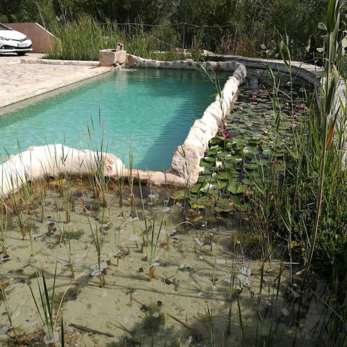 Son Vell. Mallorca. Casa Amb Piscina Ecologica. * Manacor (Mallorca)