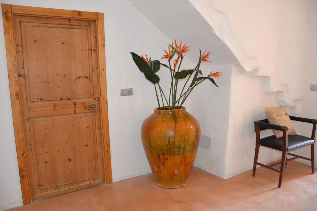 Son Vell. Mallorca. Casa Amb Piscina Ecologica. Holiday home Manacor (Mallorca)