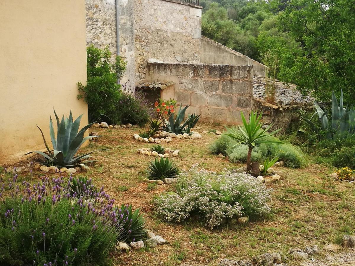 Son Vell. Mallorca. Casa Amb Piscina Ecologica. *