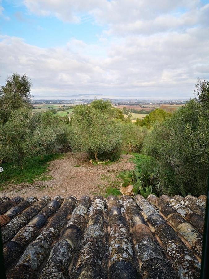Son Vell. Mallorca. Casa Amb Piscina Ecologica. Сasa de vacaciones