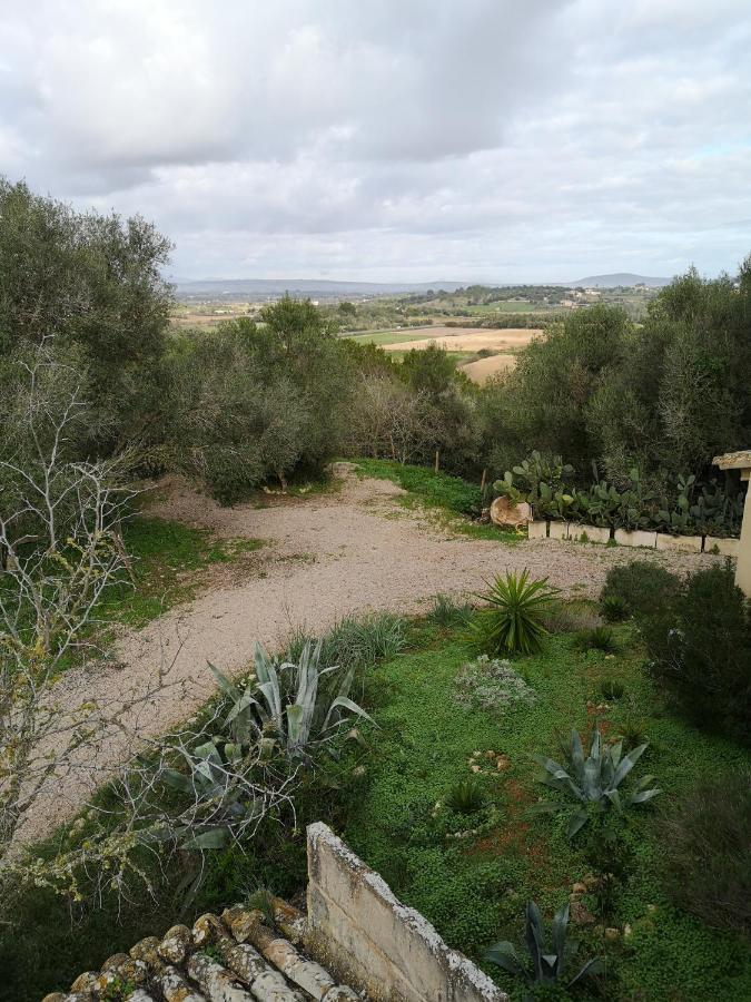 Сasa de vacaciones Son Vell. Mallorca. Casa Amb Piscina Ecologica. Manacor (Mallorca)