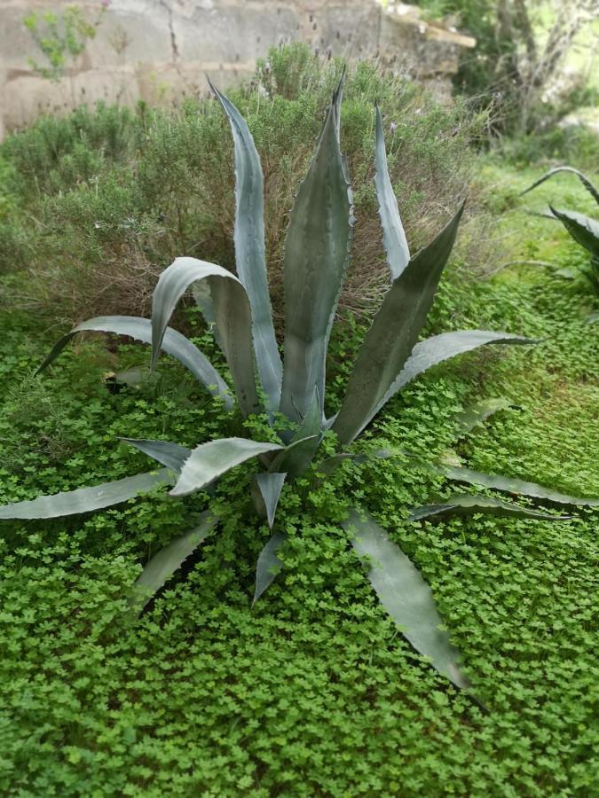 Son Vell. Mallorca. Casa Amb Piscina Ecologica. Сasa de vacaciones