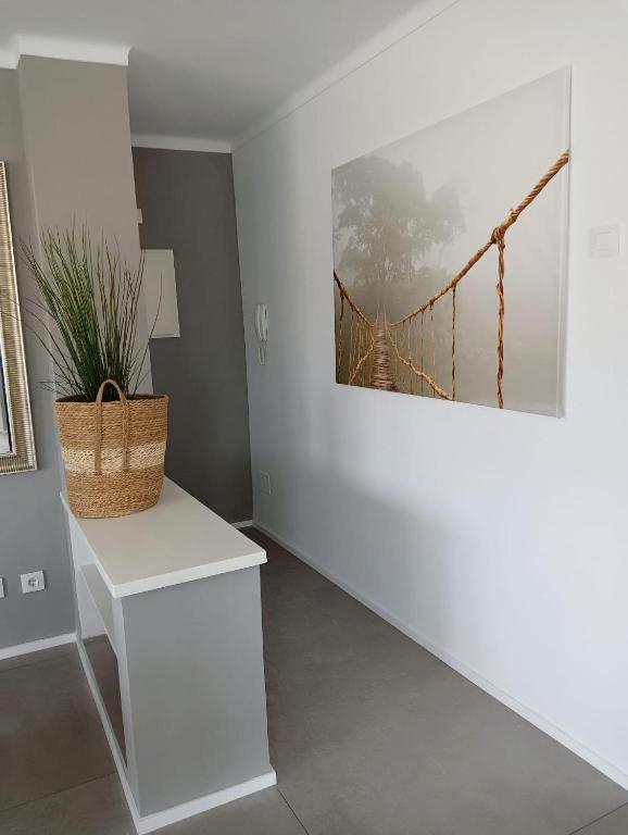 Ponent Cala Rajada Apartment *