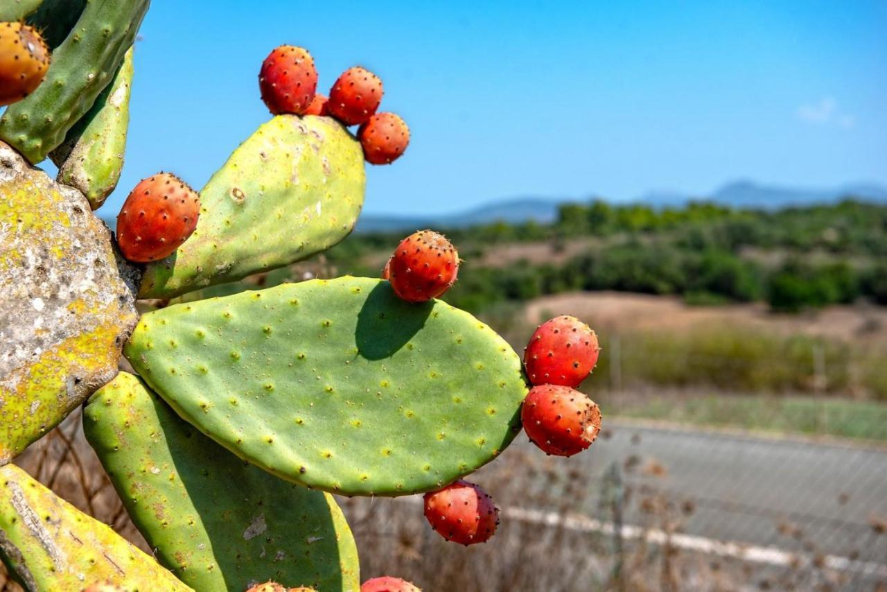 Sa Franquesa Vella Agroturismo *