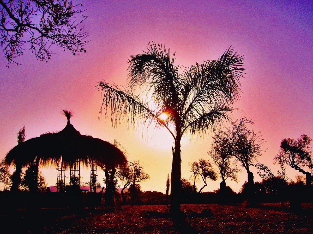 Finca Son Aduar Villa *