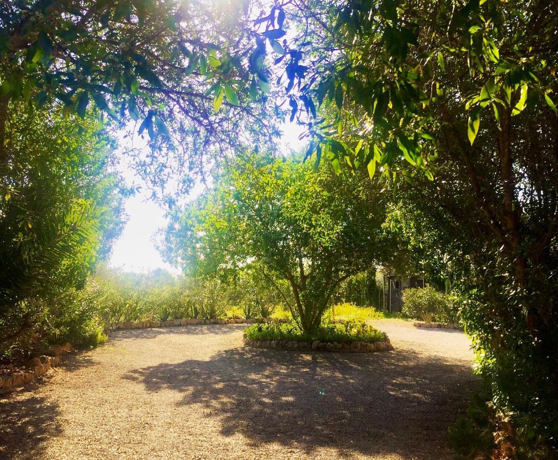Villa Finca Son Aduar *