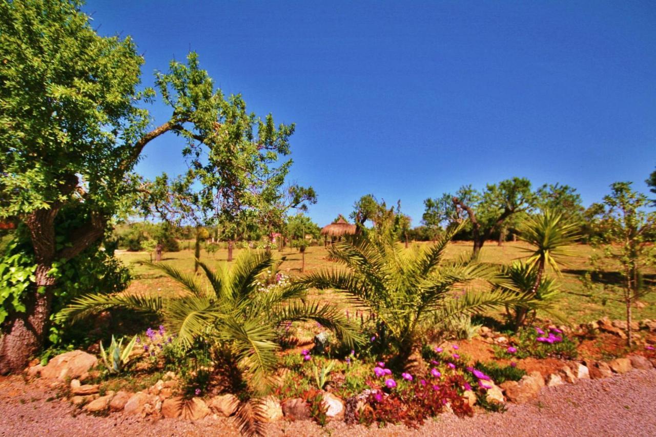 Finca Son Aduar Villa