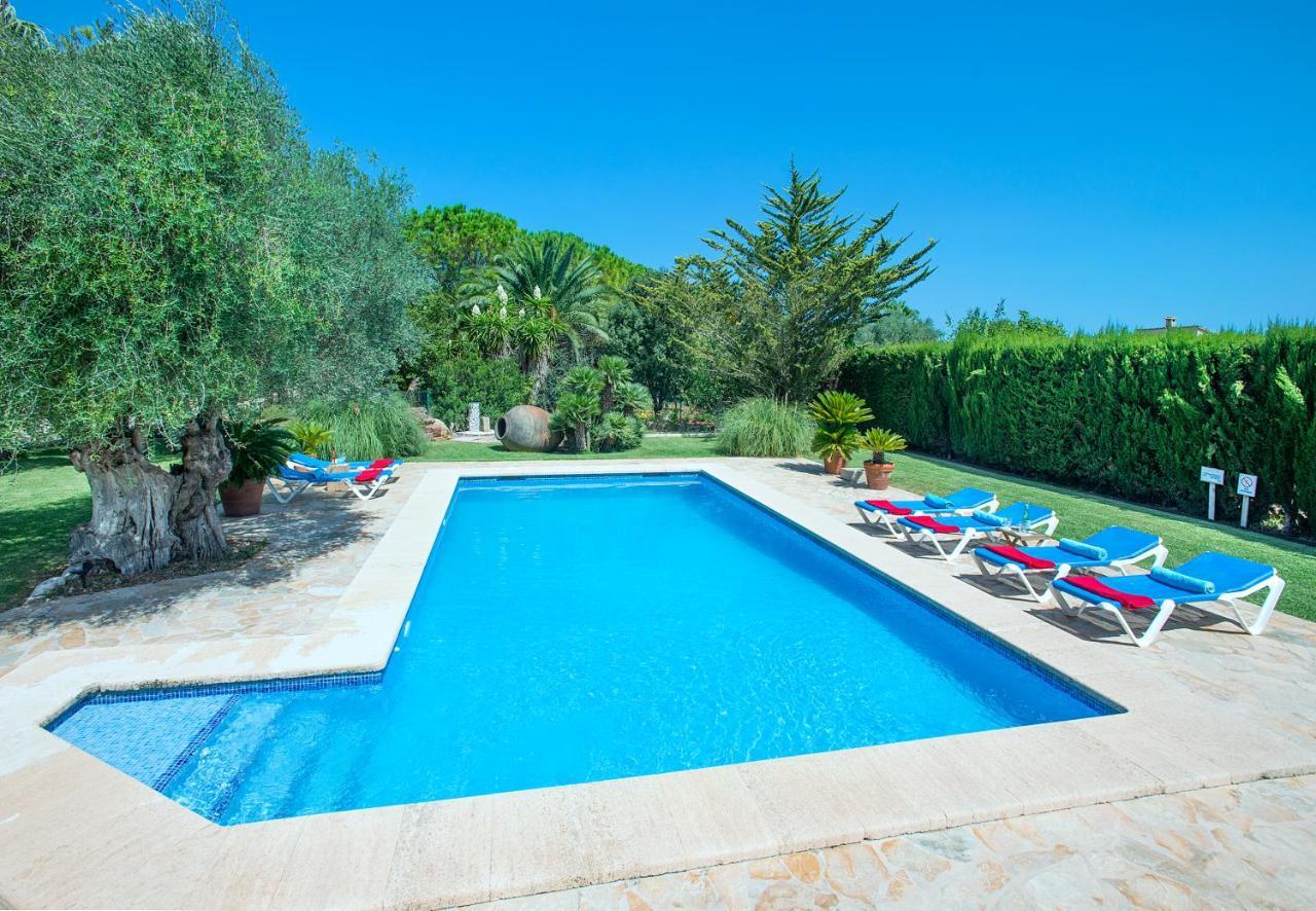 Owl Pou - Luxury Holidays In Royal Gardens