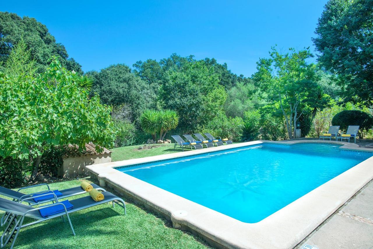 Owl Xino - 10 Min Walk To The Old Town Villa Pollensa