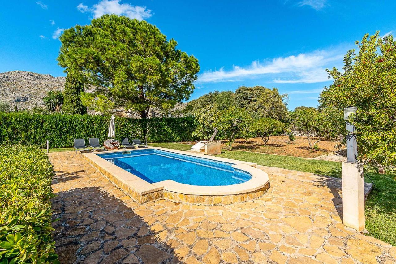 Palmeritas * Pollensa