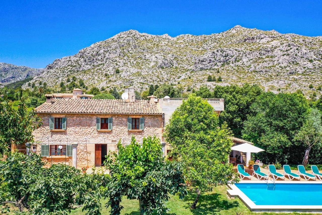 Punxa * Pollensa