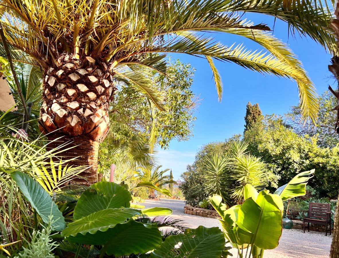 Finca Son Aduar Villa *